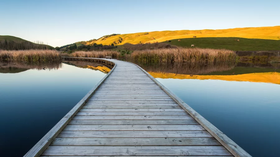Boardwalk through Pekapeka Wetlands near Hastings in Hawke’s Bay