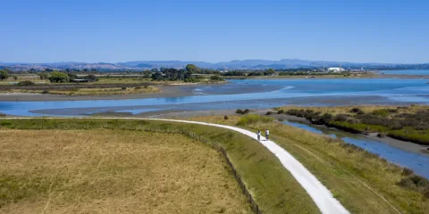 Two cyclists riding along the Clive River Trail with estuary views in Hawke’s Bay
