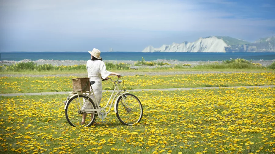 Woman with vintage bicycle admiring Cape Kidnappers from a field of yellow wildflowers