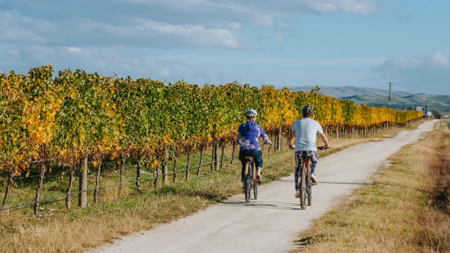 Two cyclists riding past autumn vineyards on the Wineries Ride in Hawke’s Bay