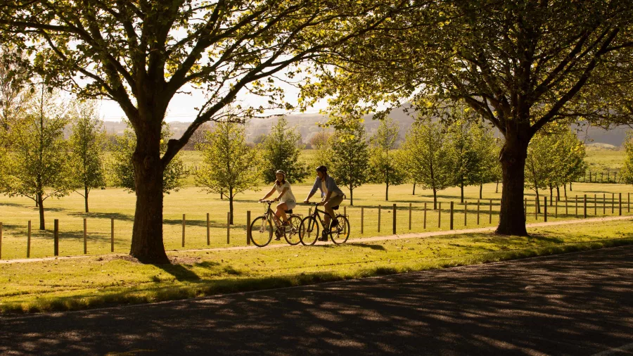 Two cyclists riding a tree-lined path in the Tukituki Valley near Havelock North
