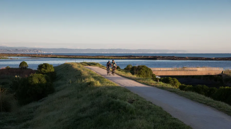 Cyclists riding along the raised boardwalk section of the Water Ride at sunset in Hawke’s Bay