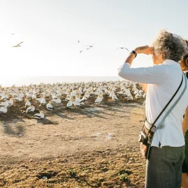 Two women observing the gannet colony at Cape Kidnappers at sunset