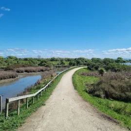 Gravel cycle trail following the Tukituki River through native wetlands and estuary near Haumoana