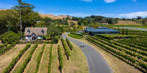 Cyclists arriving at Black Barn winery surrounded by vines and rolling hills in Hawke’s Bay