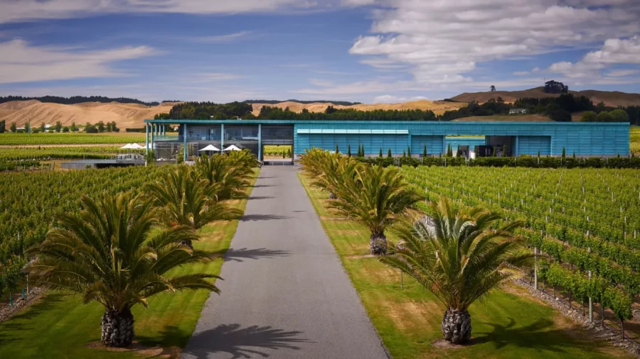 Palm-lined driveway leading to Craggy Range Winery, a highlight on the Great Escape Cycle Tour