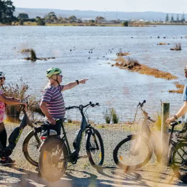 Cyclists stopping to view native birdlife on the wetlands section of the Hawke’s Bay Cycle Trails