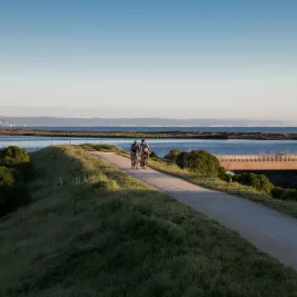 Cyclists riding the Water Ride section of the Hawke’s Bay Cycle Trails through wetlands near Napier