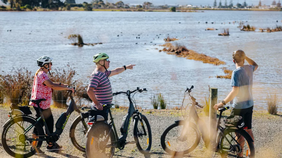 Cyclists stopping to view native birdlife on the wetlands section of the Hawke’s Bay Cycle Trails