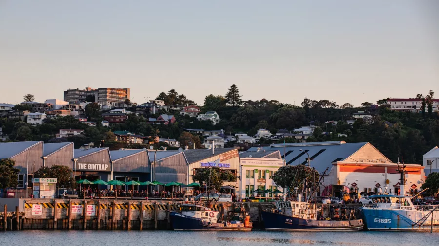 Fishing boats and historic buildings along the Ahuriri wharf in Napier, seen from the water