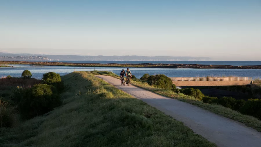 Cyclists riding the Water Ride section of the Hawke’s Bay Cycle Trails through wetlands near Napier