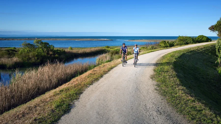 Two cyclists riding beside coastal wetlands on the Haumoana Trail