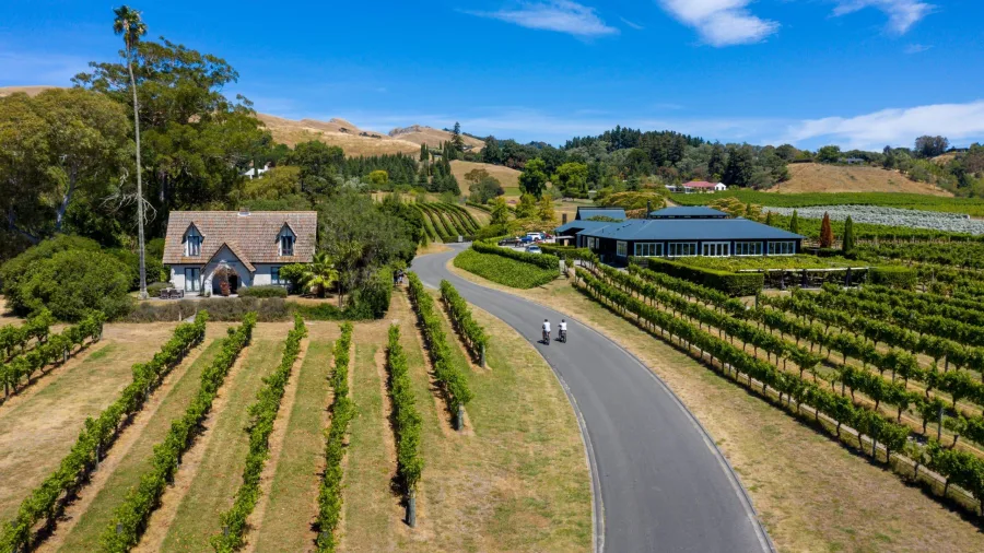 Cyclists riding into Black Barn Winery near Havelock North along a vineyard trail in Hawke’s Bay