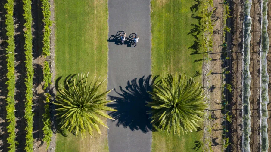 Aerial view of cyclists riding through vineyards at Elephant Hill Winery in Haumoana