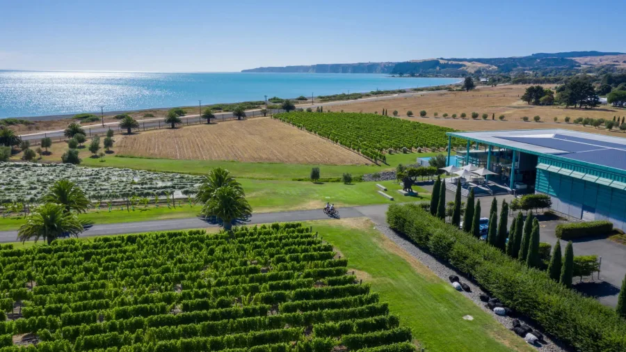 Aerial view of Elephant Hill Winery and vineyard near the coast in Haumoana, Hawke’s Bay