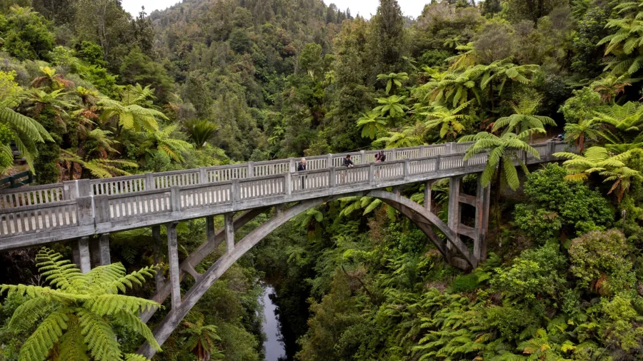 Bridge to Nowhere spanning a lush gorge in the remote Mangapurua Valley, Whanganui National Park