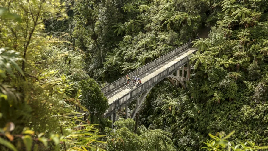 Cyclists crossing the Bridge to Nowhere on the Mangapurua Track, Whanganui National Park