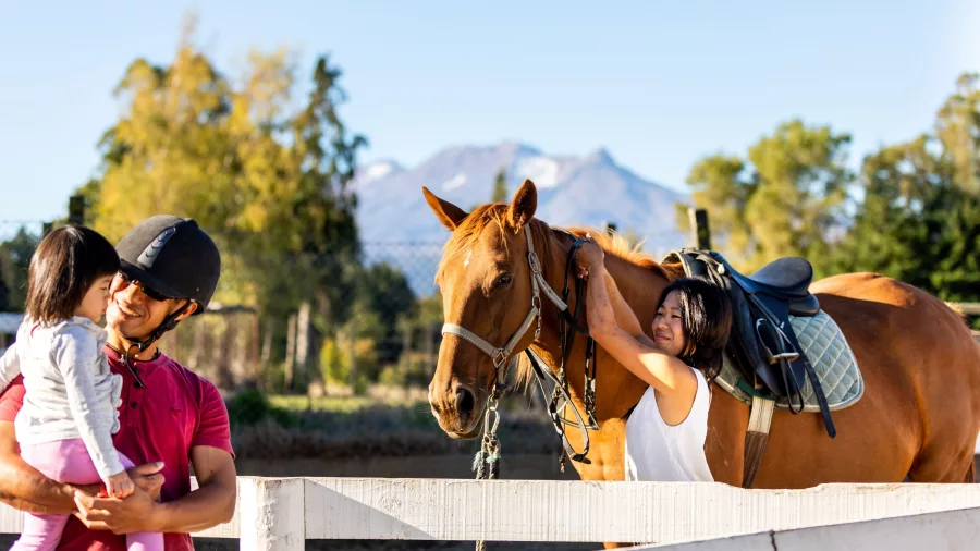 Family preparing a horse at Ruapehu Homestead with Mount Ruapehu in the distance