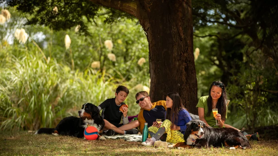 Family enjoying a picnic with dogs beside the Mangawhero River in Ohakune