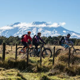 Cyclists riding past Mt Ruapehu on Old Coach Road trail