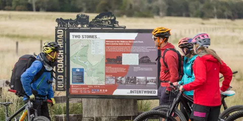 Cyclists reading Old Coach Road information sign at Horopito