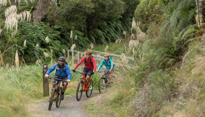 Three cyclists riding uphill through bush on Old Coach Road