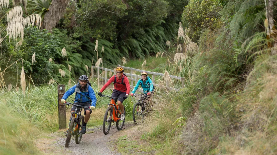 Three cyclists riding uphill through bush on Old Coach Road