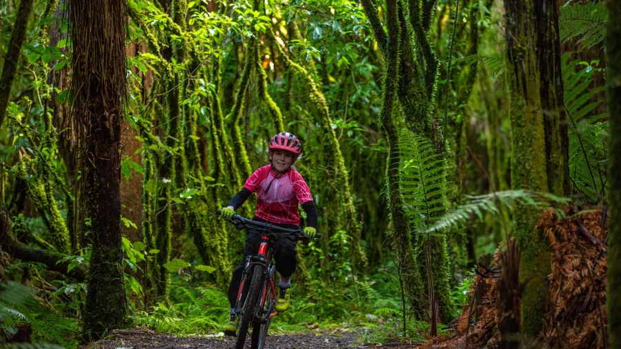 Child riding bike on forested section of Old Coach Road trail