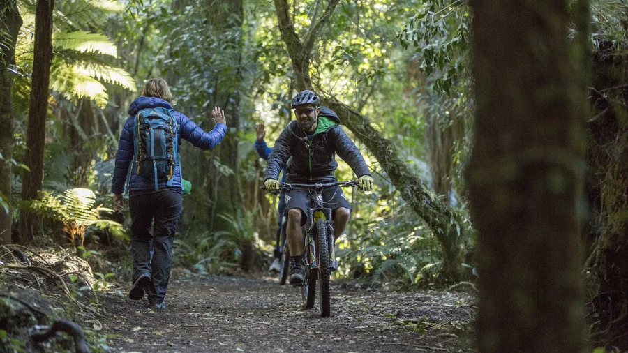 Mountain biker and hiker share the Old Coach Road trail in forest
