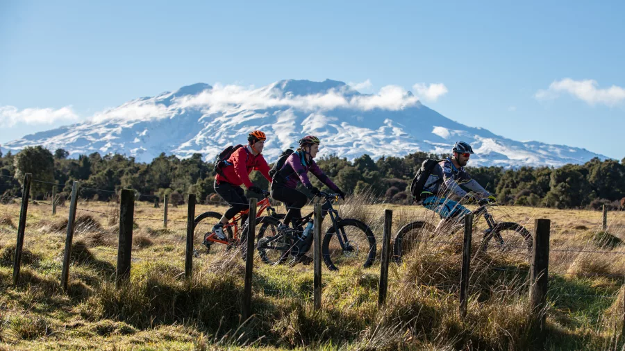 Cyclists riding past Mt Ruapehu on Old Coach Road trail