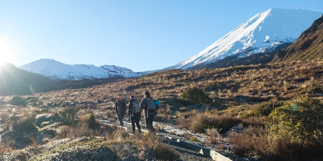 Group walking along a frosty Tongariro trail with Mount Ngauruhoe towering ahead