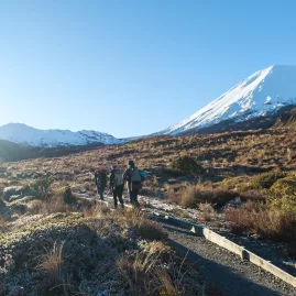 Group walking along a frosty Tongariro trail with Mount Ngauruhoe towering ahead