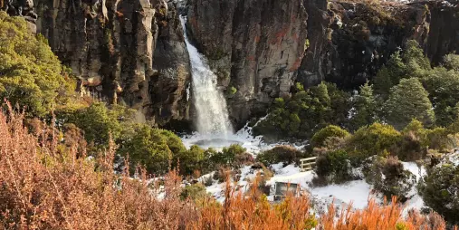 Taranaki Falls cascading over a lava cliff surrounded by winter alpine vegetation in Tongariro National Park