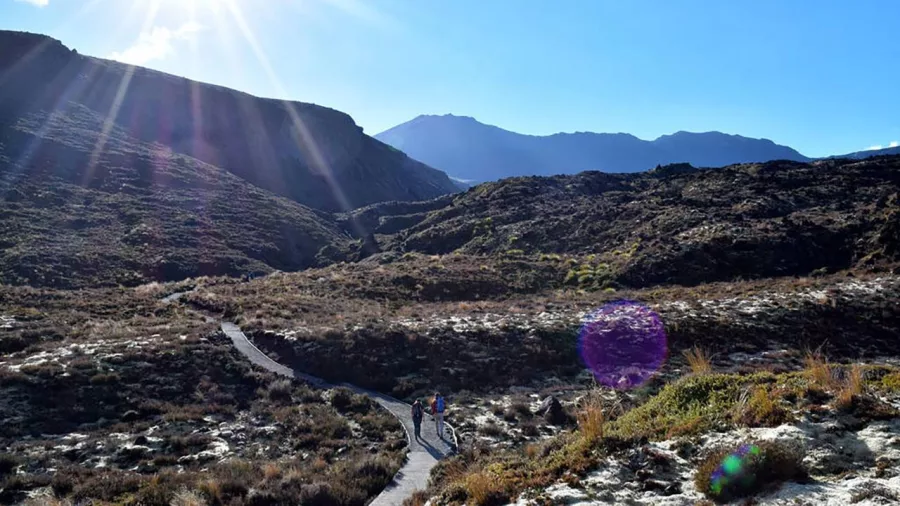 Hikers on sunlit boardwalk section of Tongariro Alpine Crossing