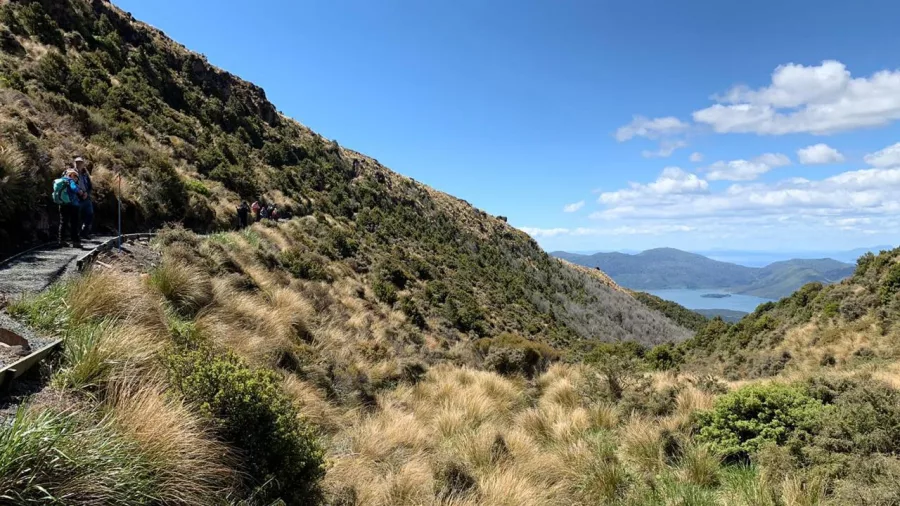 Hikers walking along a green section of Tongariro Alpine Crossing with lake views
