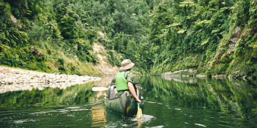 Canoe paddling through native forest on the Whanganui River Journey