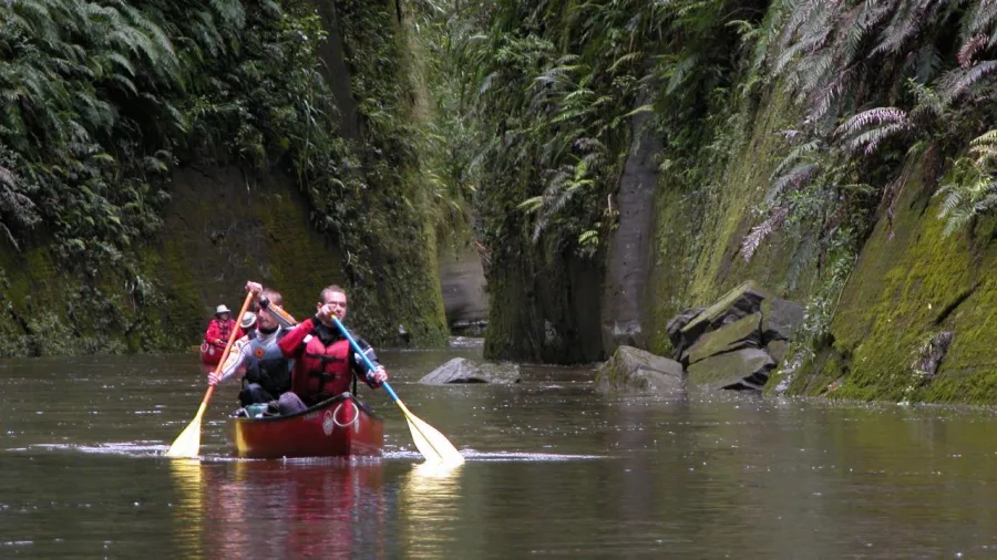 Canoe paddlers navigating a narrow gorge lined with moss-covered cliffs on the Whanganui River