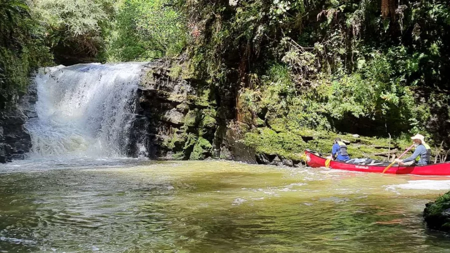 Red canoe approaching a small jungle waterfall on the Whanganui River