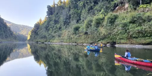 Guided canoe groups paddling along the Whanganui River with lush forest reflections in Whanganui National Park