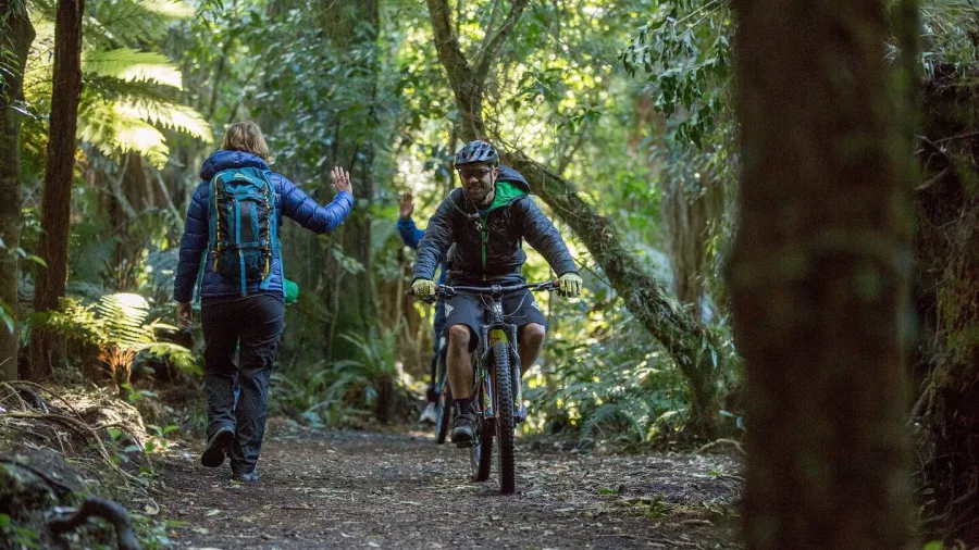 Cyclist riding through lush native forest on the Ohakune Old Coach Road, part of the Mountains to Sea Cycle Trail