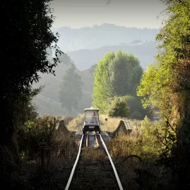 Rail cart crossing a small bridge in soft morning light on the Forgotten World Adventures rail trail.