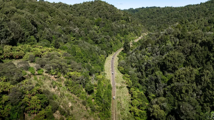 Three rail carts travelling through lush native forest on the Epic tour by Forgotten World Adventures.