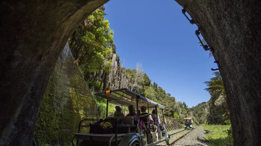 Open-sided rail cart exiting a tunnel into native bush on the Forgotten World Adventures Expedition.