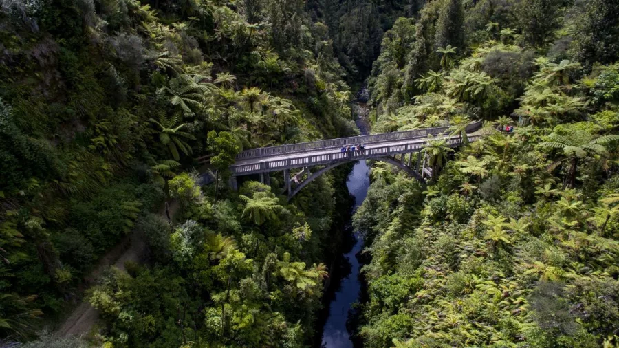 Aerial view of the Bridge to Nowhere surrounded by dense native bush on the Forgotten World Expedition tour.