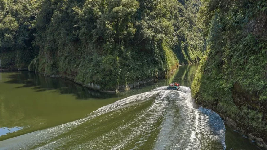 Jet boat creating ripples as it navigates a green river bend surrounded by native forest.