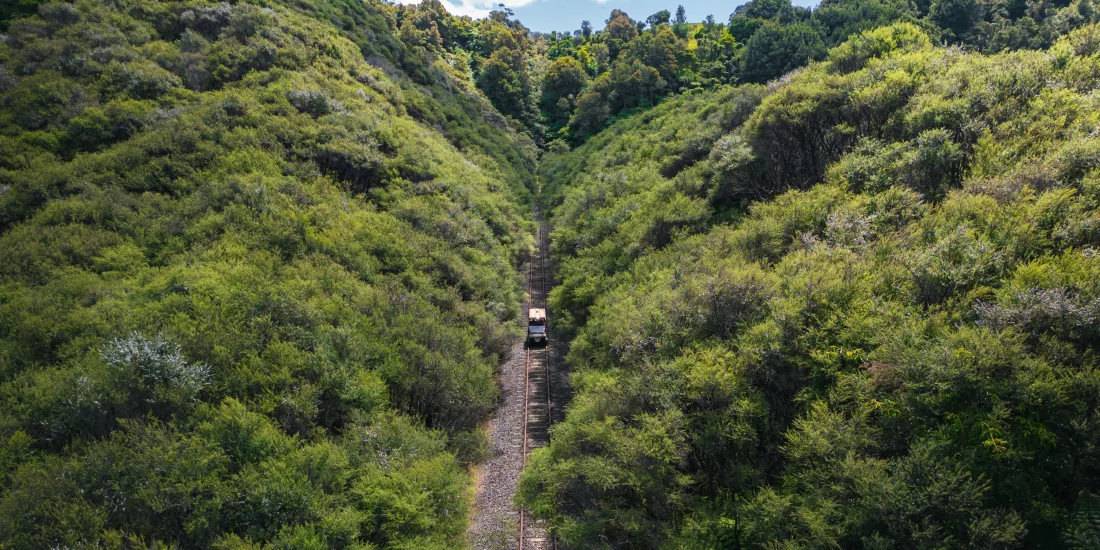Rail cart travelling through a narrow bush-lined cutting surrounded by dense greenery in remote New Zealand.