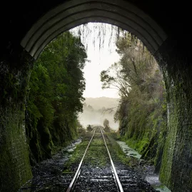 View from inside a dark railway tunnel opening onto misty hills and native forest.