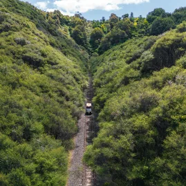 Rail cart travelling through a narrow bush-lined cutting surrounded by dense greenery in remote New Zealand.