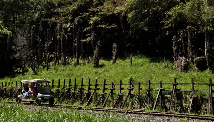 Rail cart travelling past wooden embankment reinforcements and native bush.