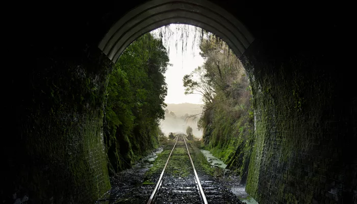 View from inside a dark railway tunnel opening onto misty hills and native forest.